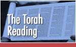 The Torah Reading