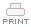 Printer Friendly Version Print