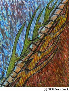 ''Jacob's Ladder'' by David Brook