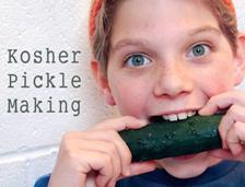 Kosher Pickle Making