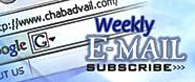 Weekly Email